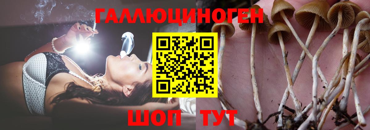 Галлюциногенные грибы Psilocybine cubensis  Вход с VPN  дарнет шоп  Киржач 